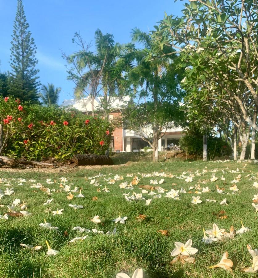 San Andrés Casa De Las Flores Tropical מראה חיצוני תמונה