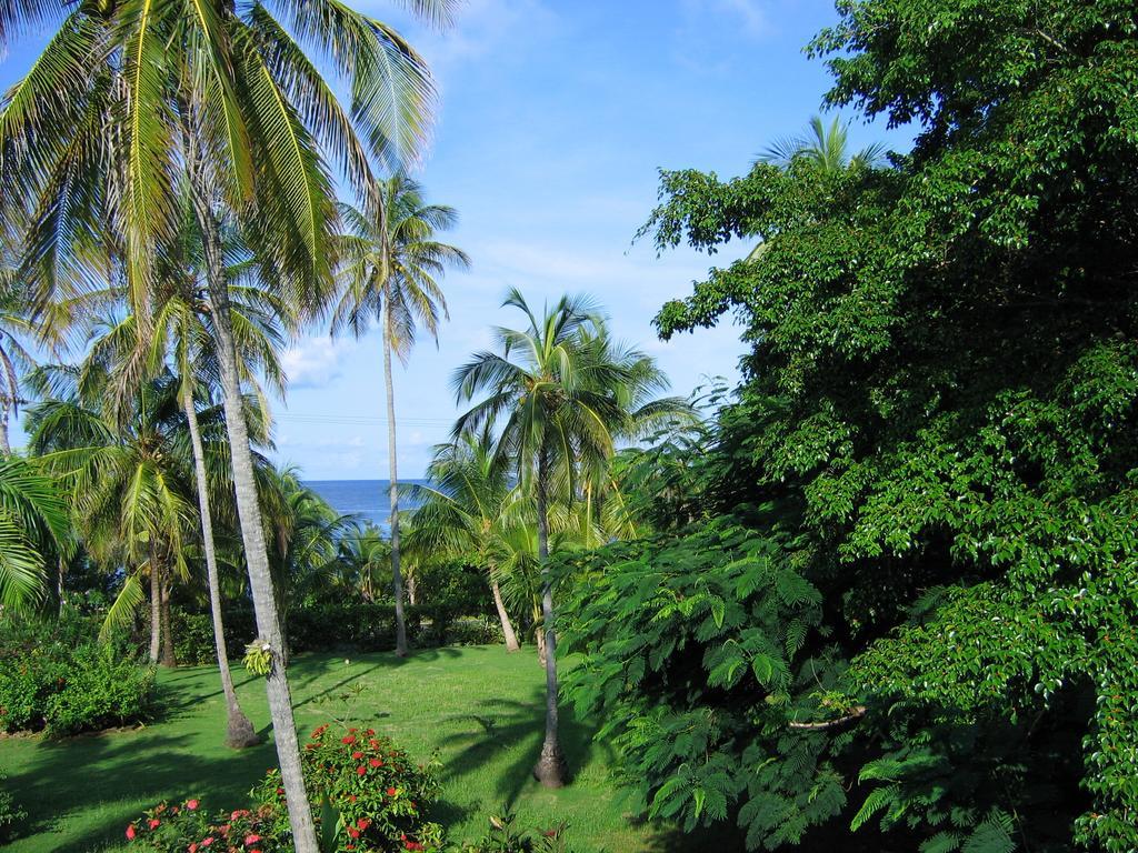 San Andrés Casa De Las Flores Tropical מראה חיצוני תמונה